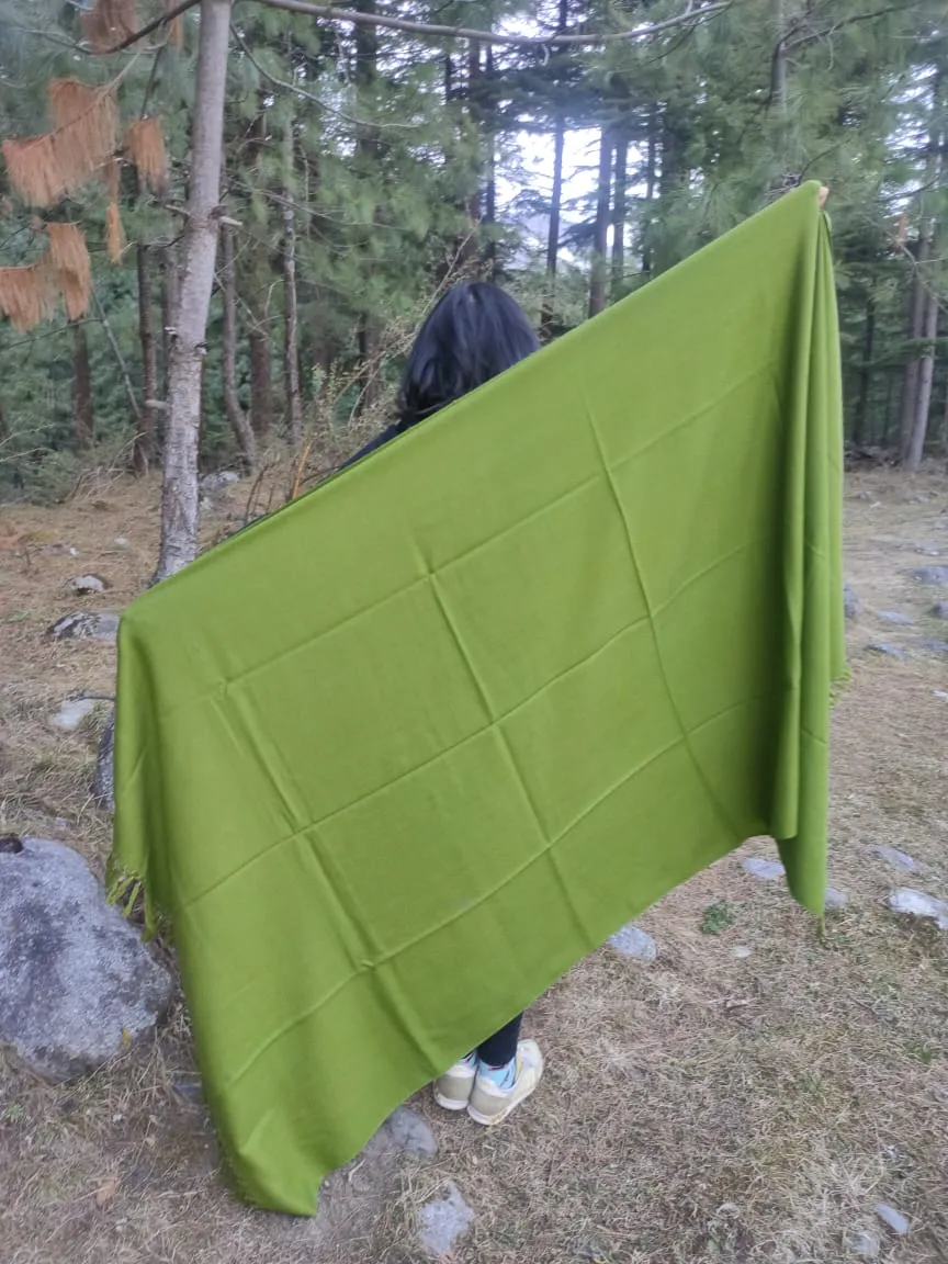 Moss green blanket scarf